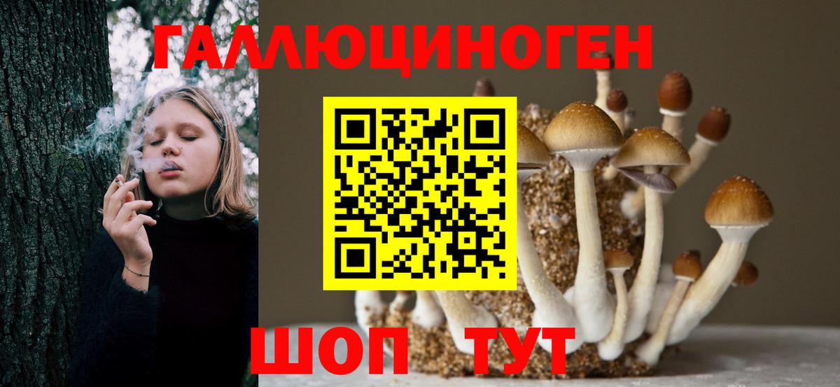 Галлюциногенные грибы Cubensis  Псилоцибиновые грибы Magic Shrooms  Вход с VPN  Кириши 